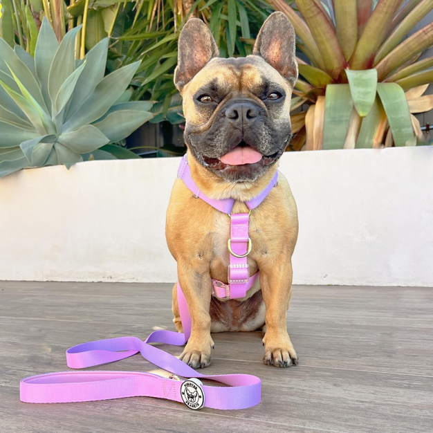 Pastel Pink / Lavender - Luxe Strap Harness