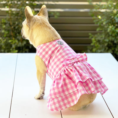 Candy Gingham Ruffles (with Gingham bow) Dog Dress (Limited Edition)