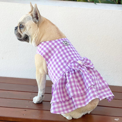 Purple Gingham Ruffles Dog Dress with bow (Limited Edition)