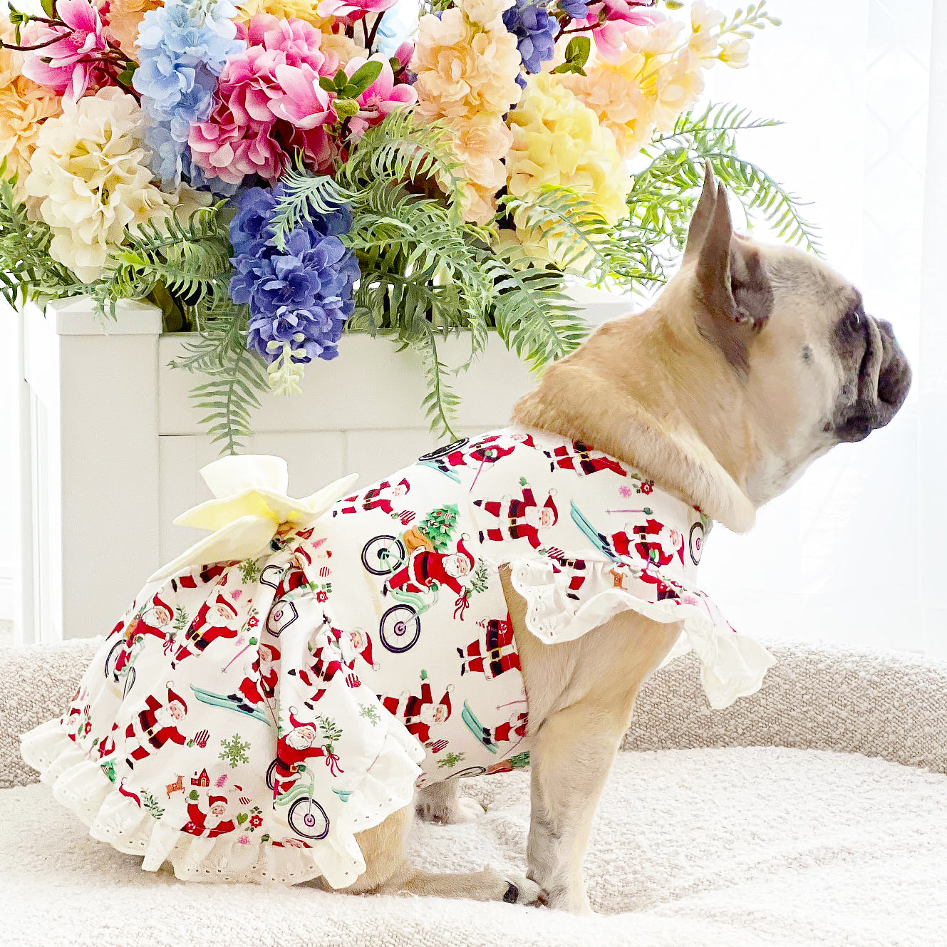 Santa's Sweetheart - Christmas Dog Dress with Head Bow - Medium