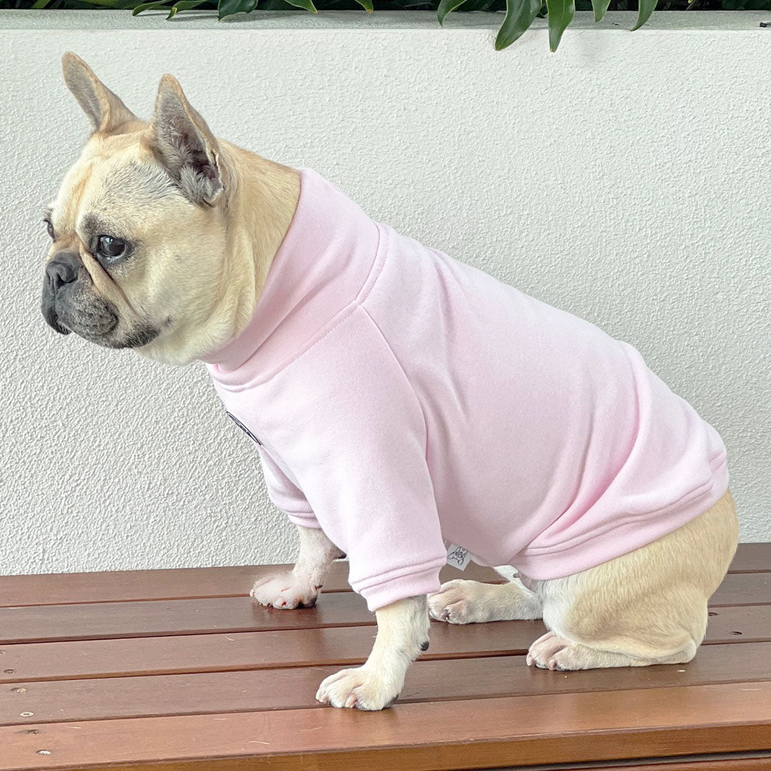 Soft Pink Dog Skivvy