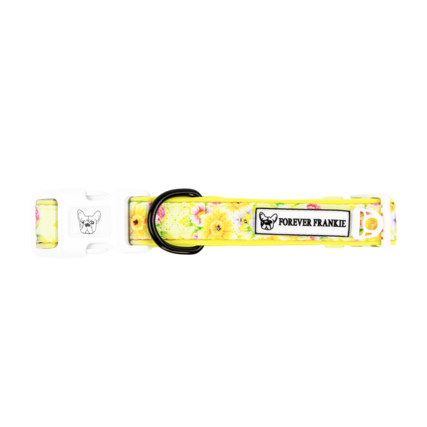 Dog Collar Sale