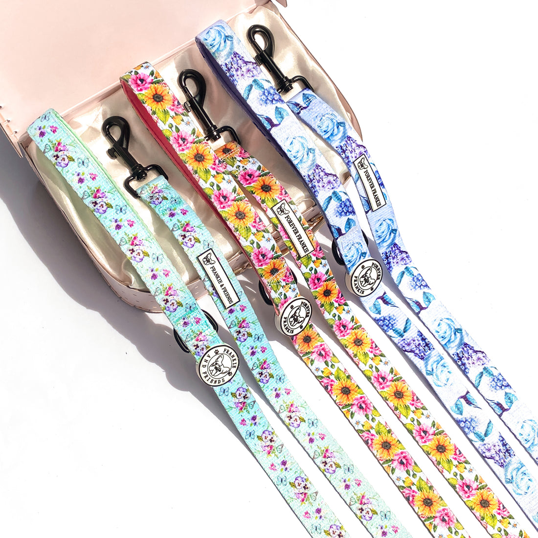Dog Leads