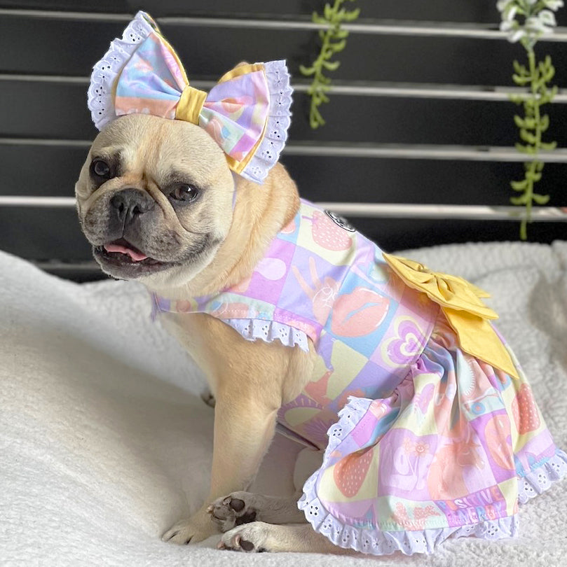 Dog Wear Sale