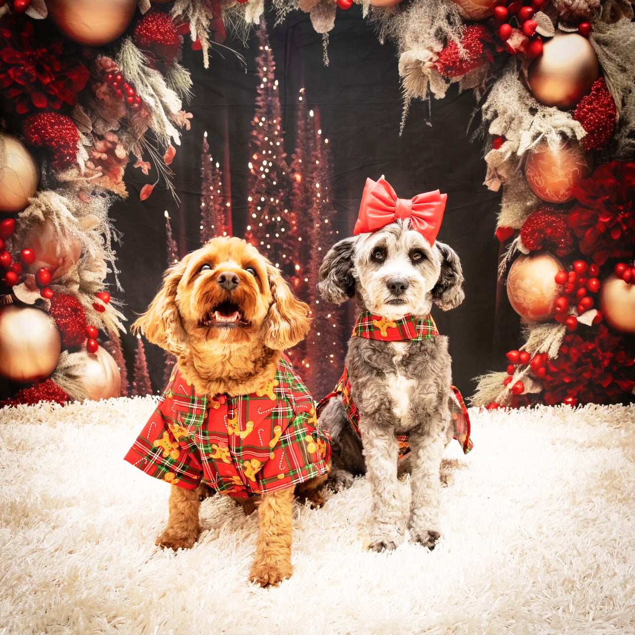 Tarten Gingerbread - Party Shirt