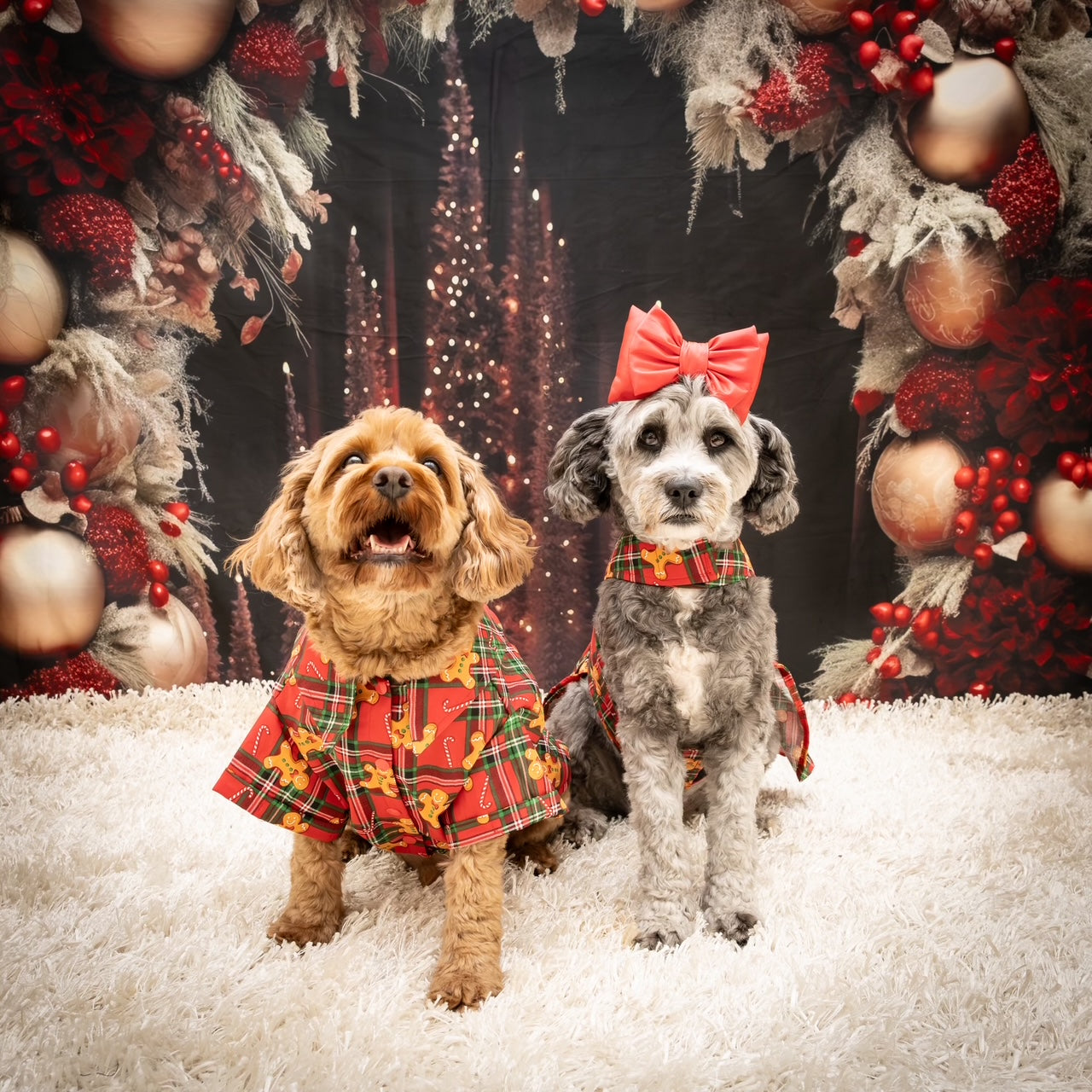 Gingerbread Dog Dress  (Limited Edition)