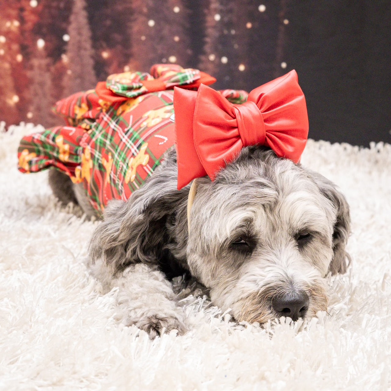 Gingerbread Dog Dress  (Limited Edition)