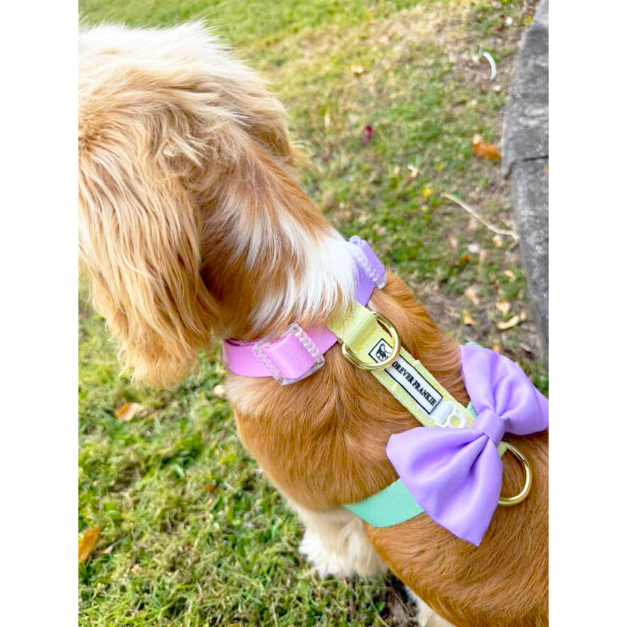 Pastel Rainbow - Luxe Strap Harness