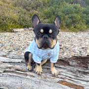 Luxe-Seafoam Snuggles Dog Skivvy