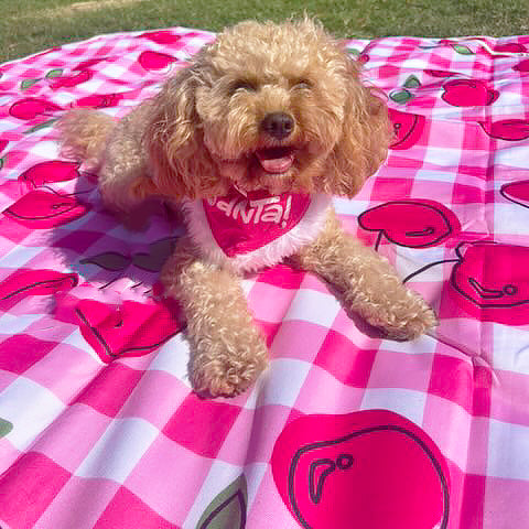 Cherry Delight - Large Picnic Mat!