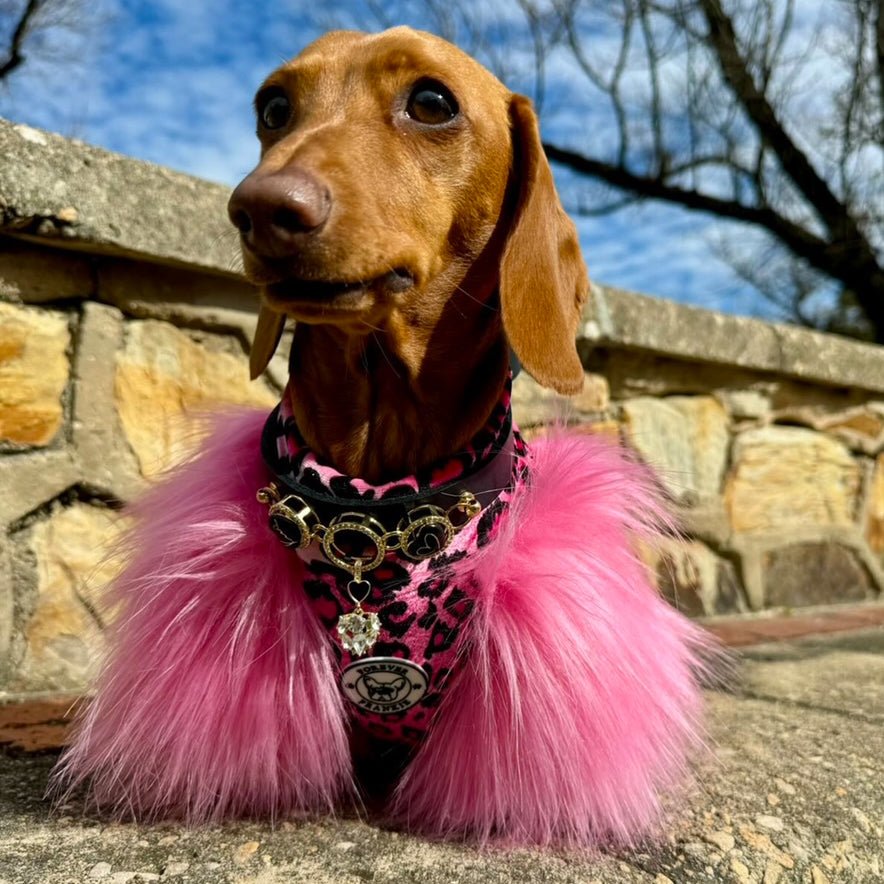 LUXE - Raspberry Leopard Dog Skivvie