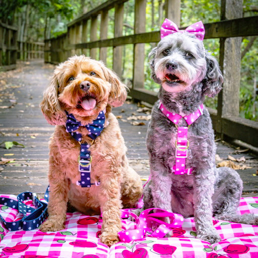 Classic Pink Spot - Luxe Strap Harness