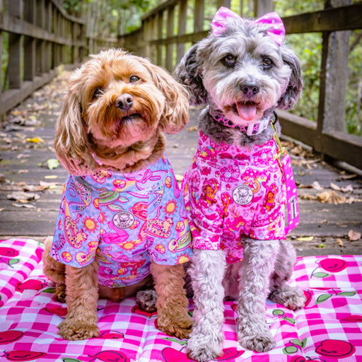 Lagoon Party - Sun & Sand Rashie UV 50+