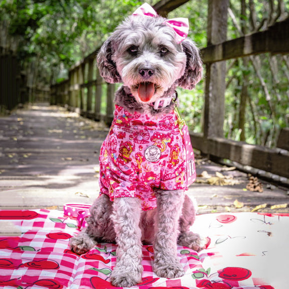 Blossom Belle - Sun & Sand Rashie UV 50+