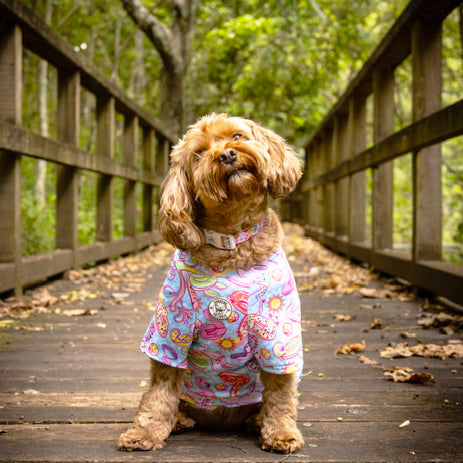 Lagoon Party - Sun & Sand Rashie UV 50+