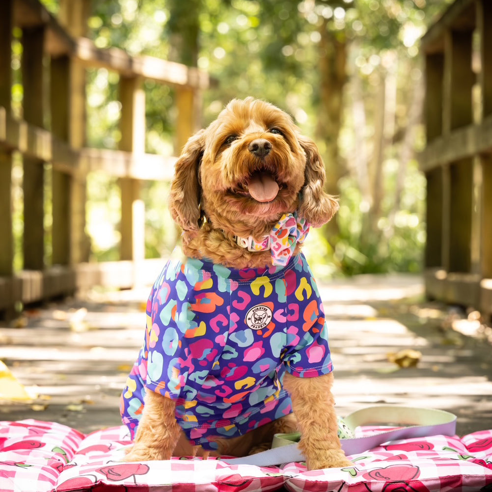 Blue Cheetah Party - Sun & Sand Rashie UV 50+