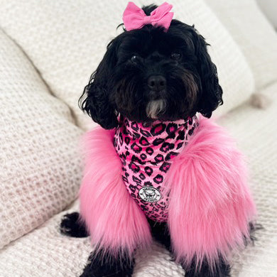 LUXE - Raspberry Leopard Dog Skivvie