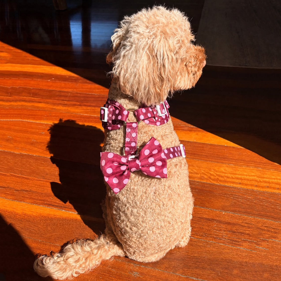 Dotted Bliss - Adjustable Harness