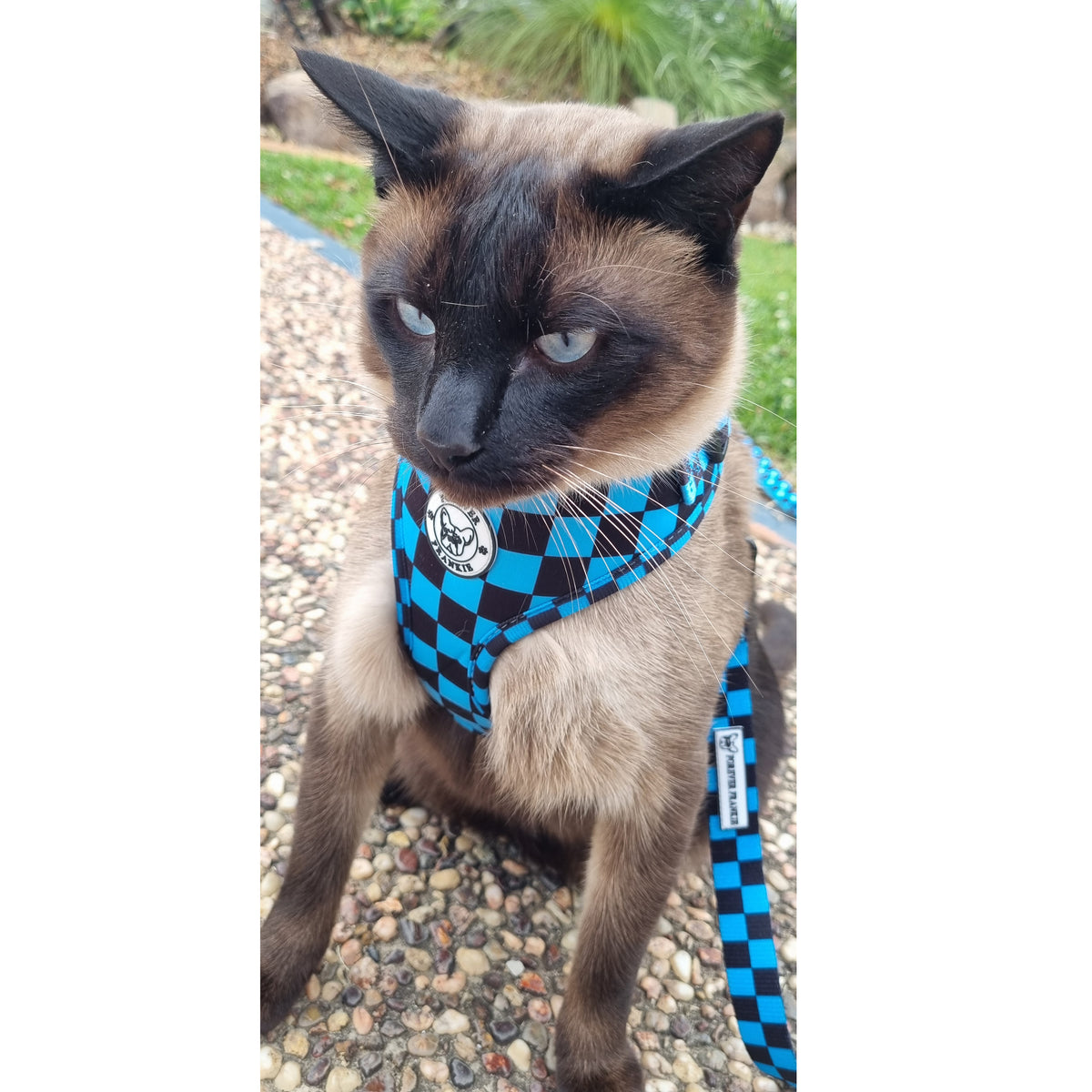 Blue Checkers - Adjustable Harness
