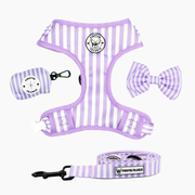 Purple Candy Stripe Walk Bundle