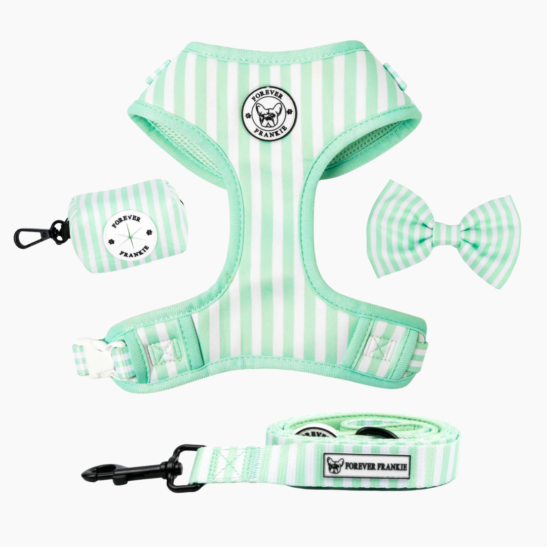 Mint Candy Stripe Walk Bundle