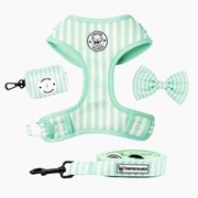 Mint Candy Stripe Walk Bundle