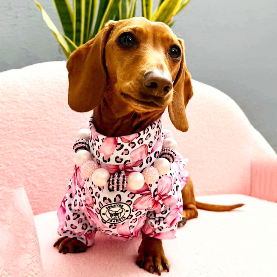 Sugarplum Leopard - Dog Skivvy