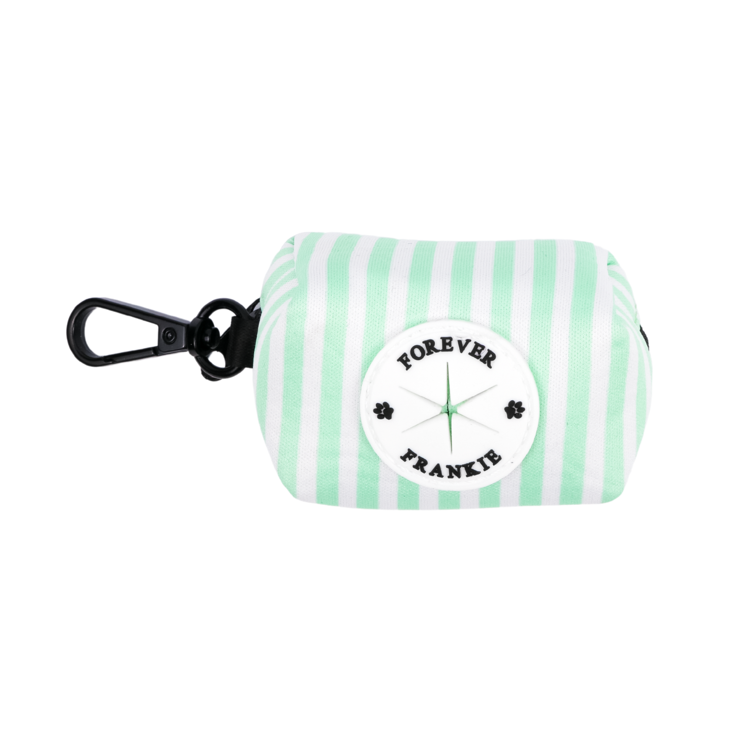 Mint Candy Stripe Walk Bundle