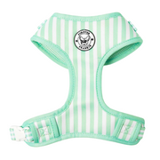 Mint Candy Stripe - Adjustable Harness
