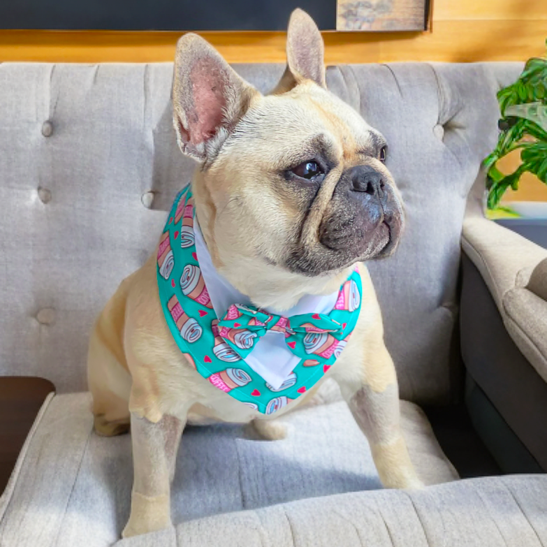 Latte Pup Love Bandana