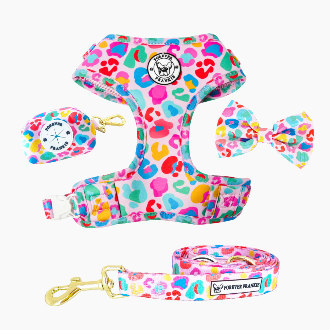Cheetah Party Walk Bundle