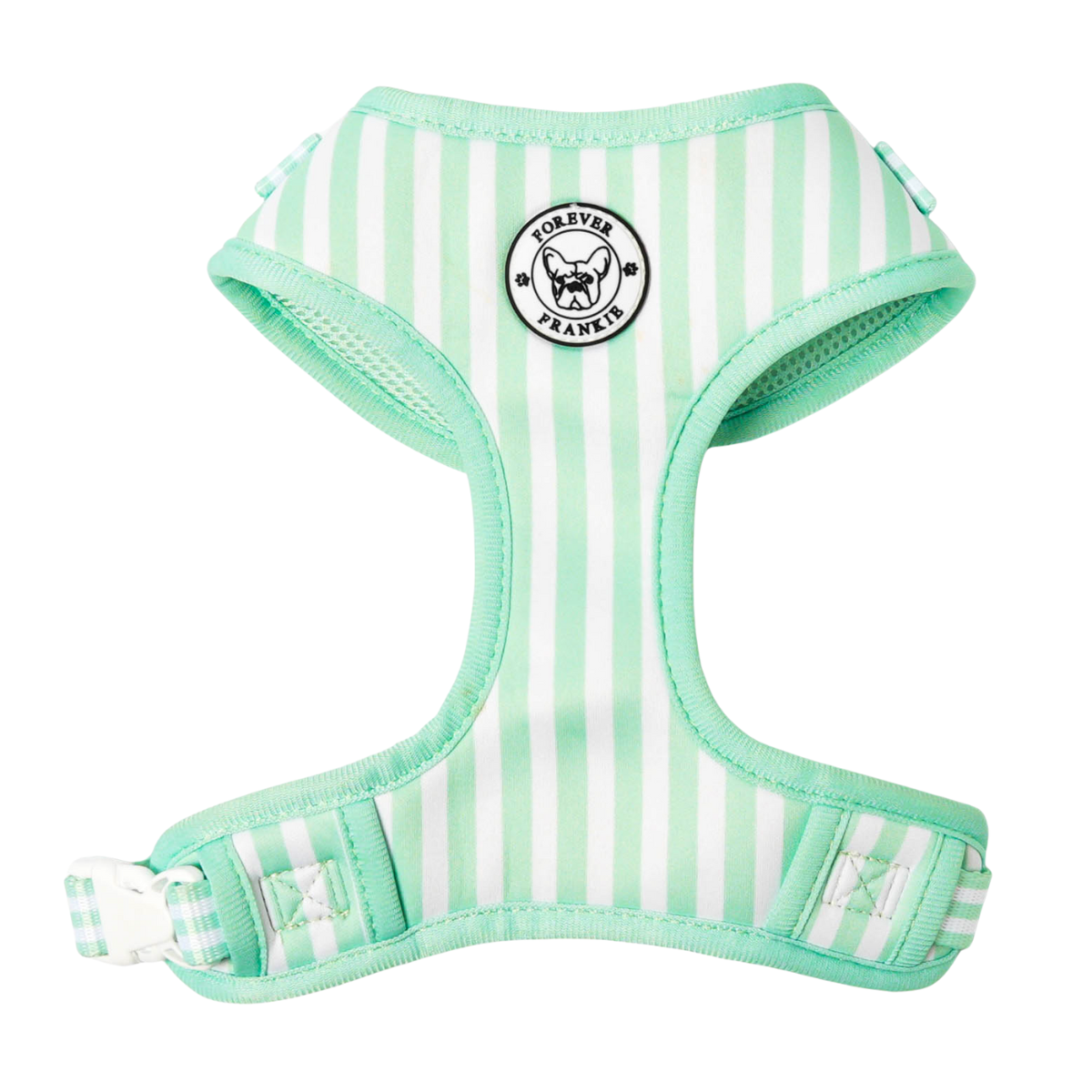 Mint Candy Stripe Walk Bundle