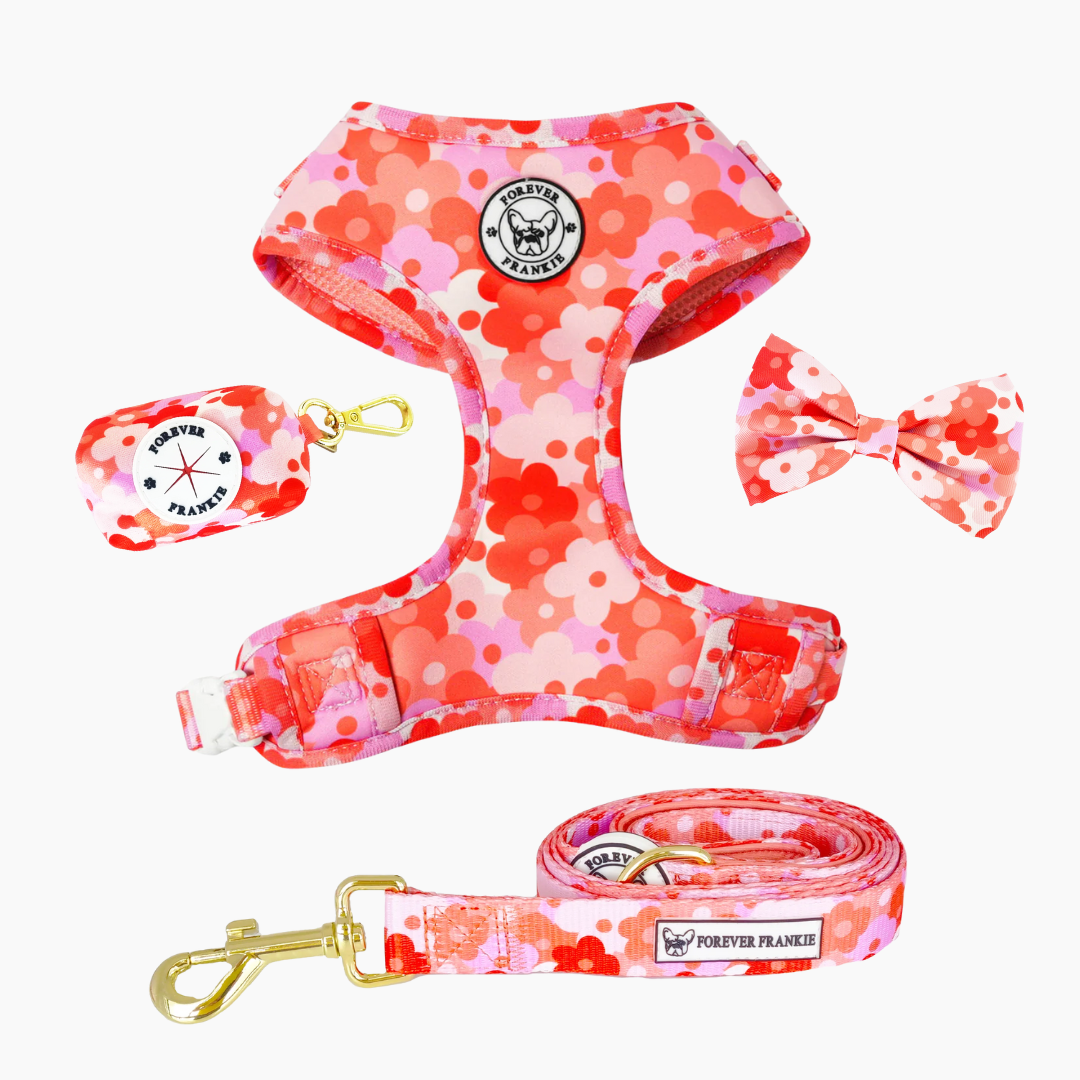 Sunset Bloom Walk Bundle