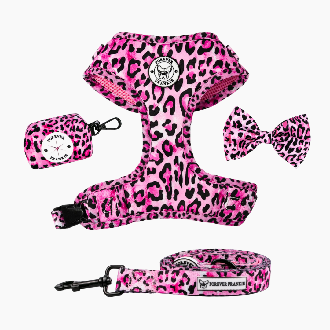 Pink Leopard Walk Bundle