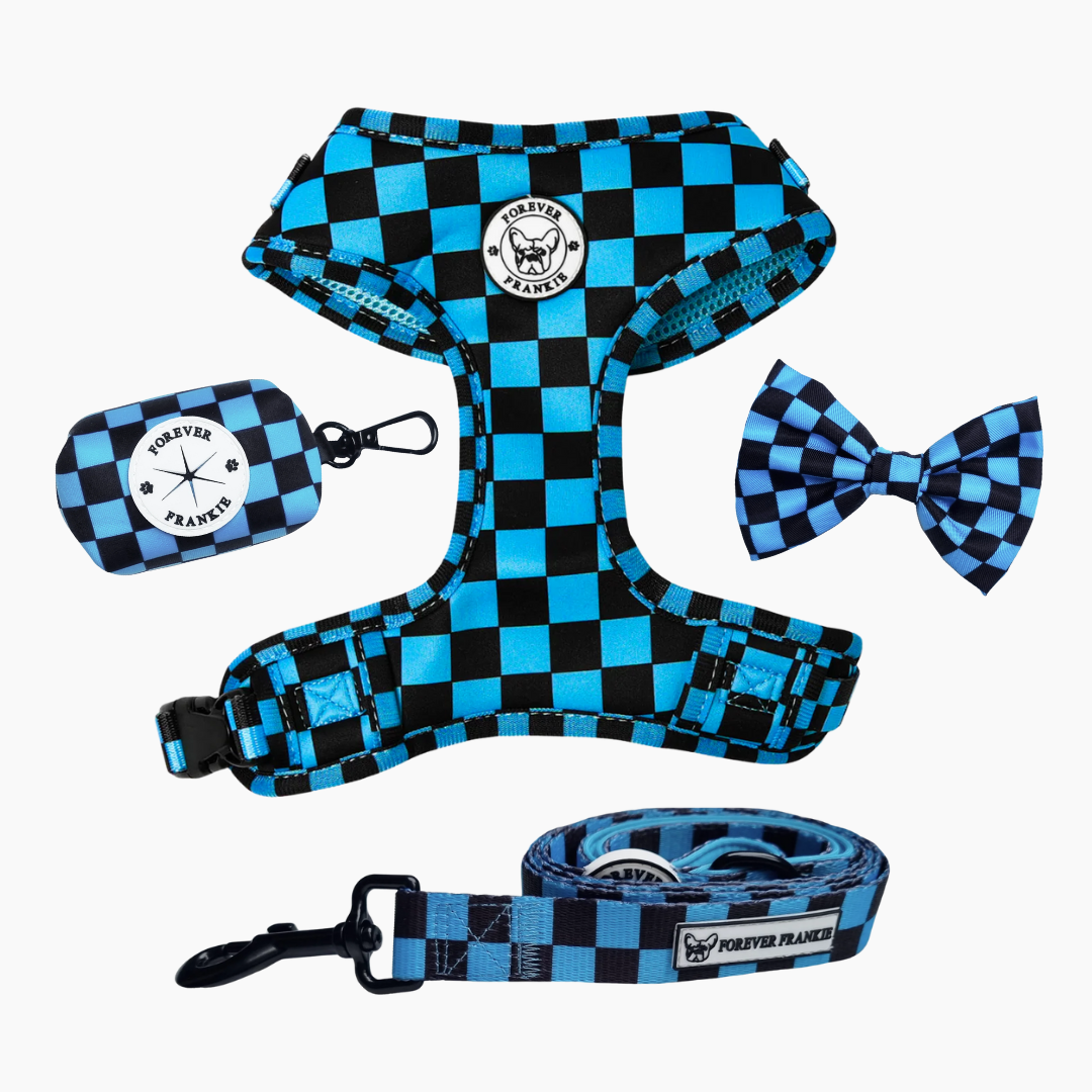 Blue Checker Walk Bundle