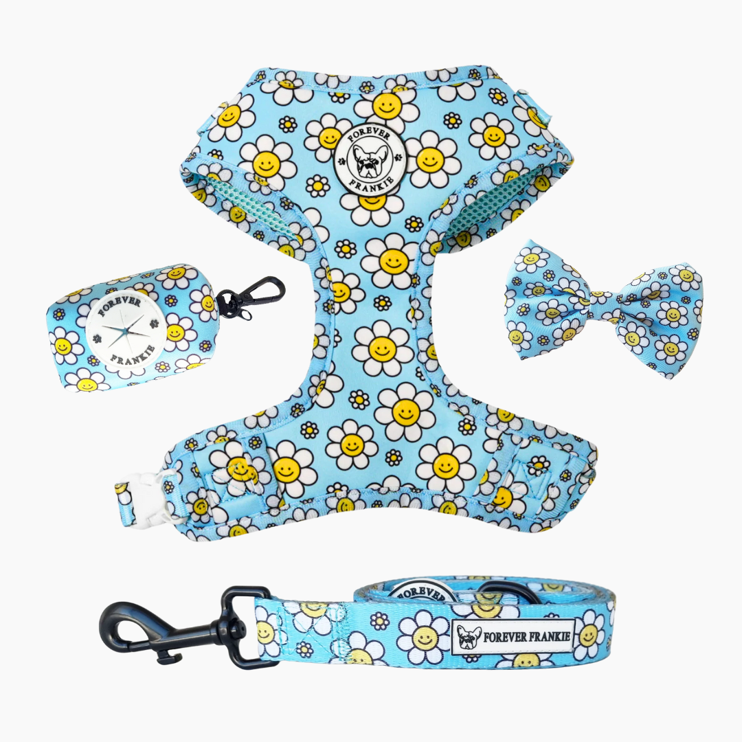 Happy Days Walk Bundle