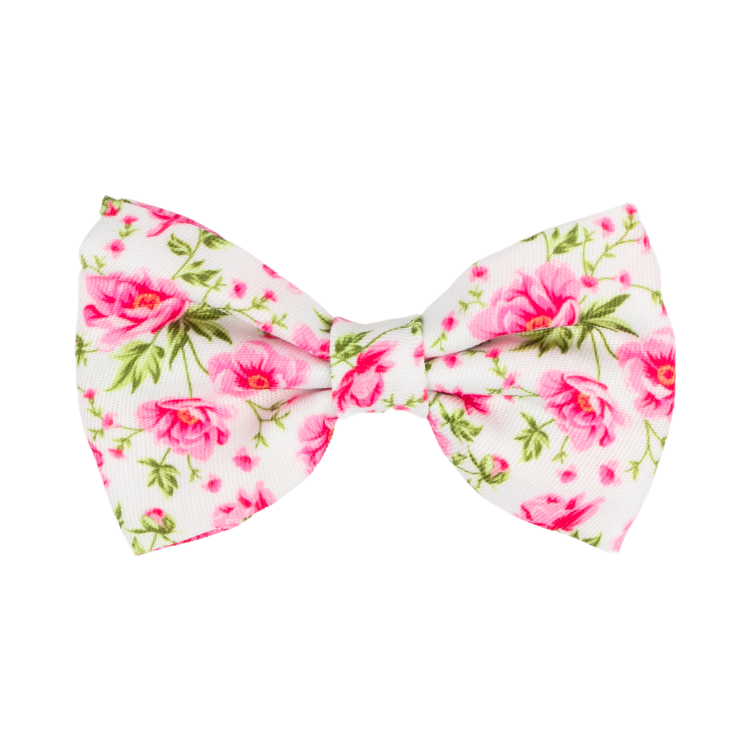 Peony Blooms Walk Bundle