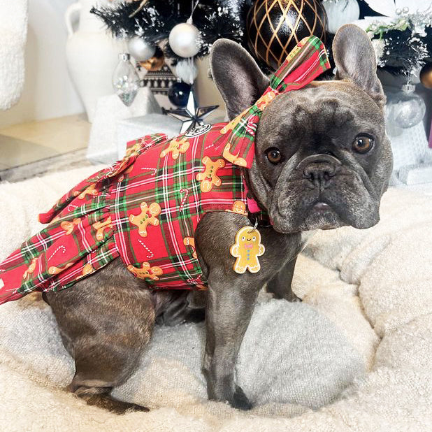 Gingerbread Dog Dress  (Limited Edition)