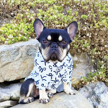 Midnight Bows Skivvy - Dog Skivvy