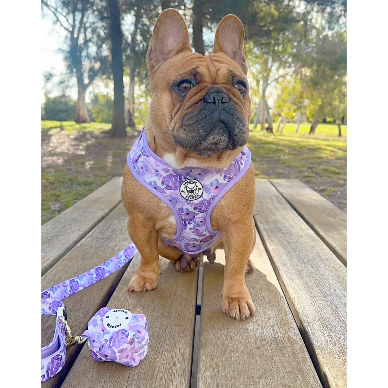 Violet Fields - Adjustable Harness