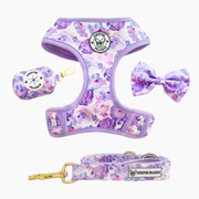 Violet Fields Walk Bundle