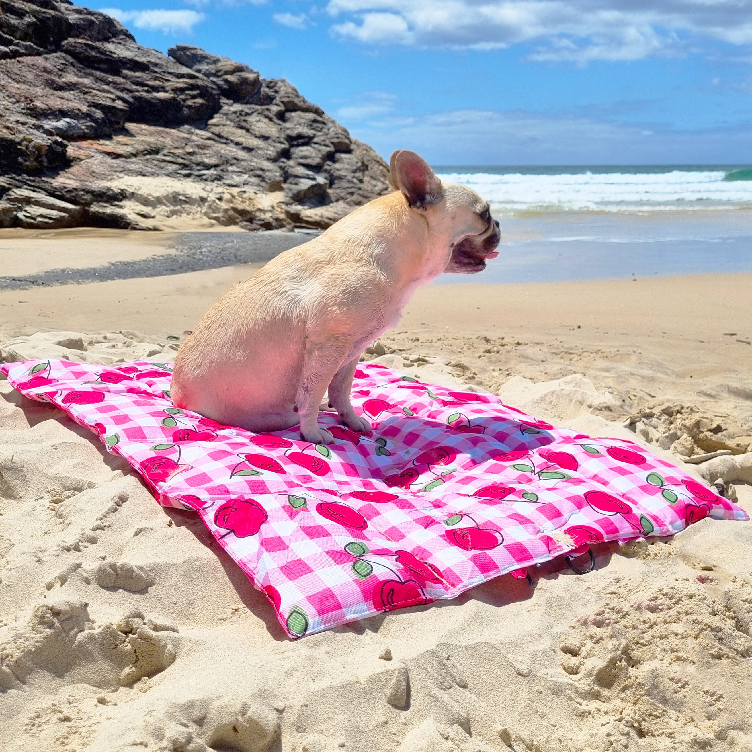 Cherry Delight - Adventure Mat