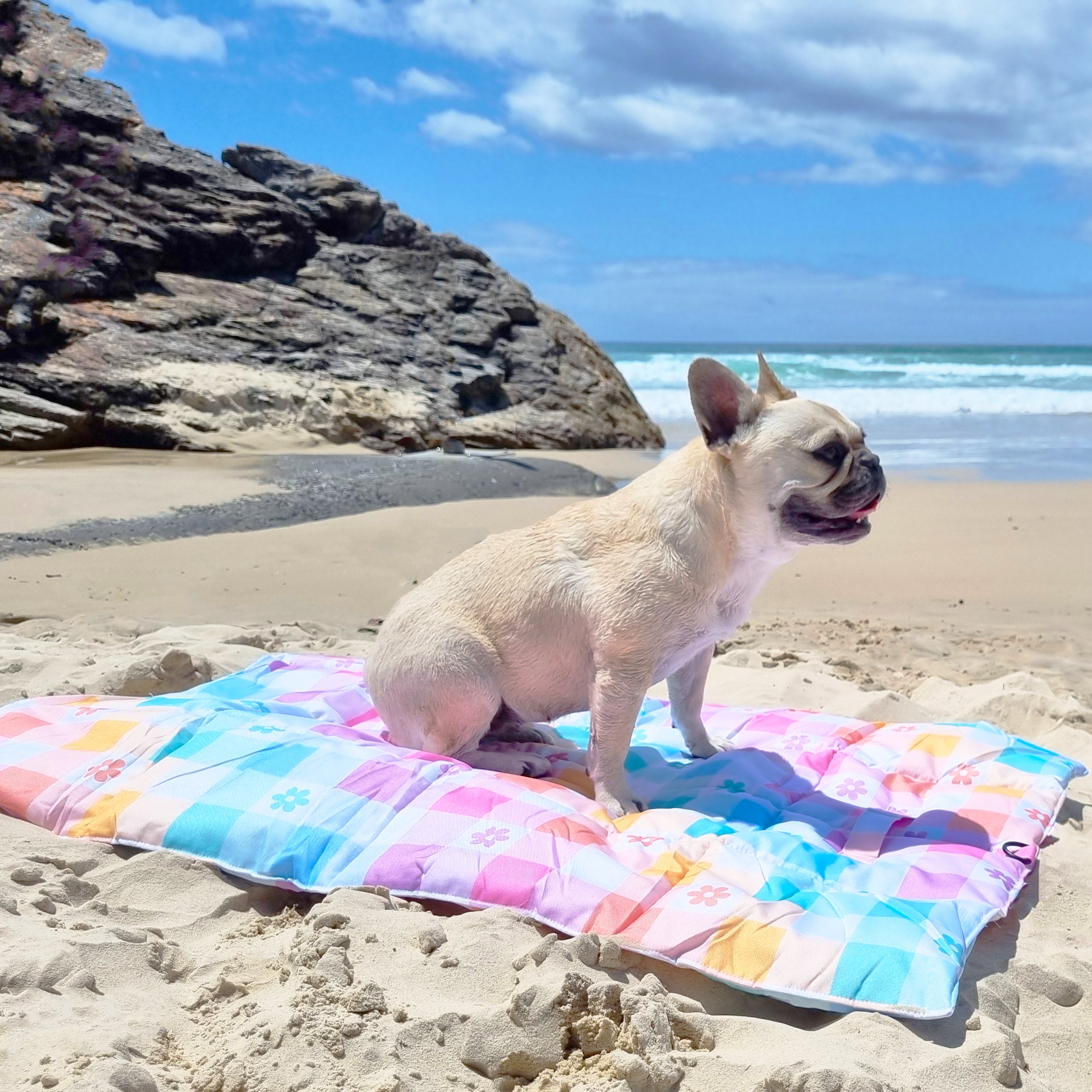 Gingham Wonderland - Adventure Mat