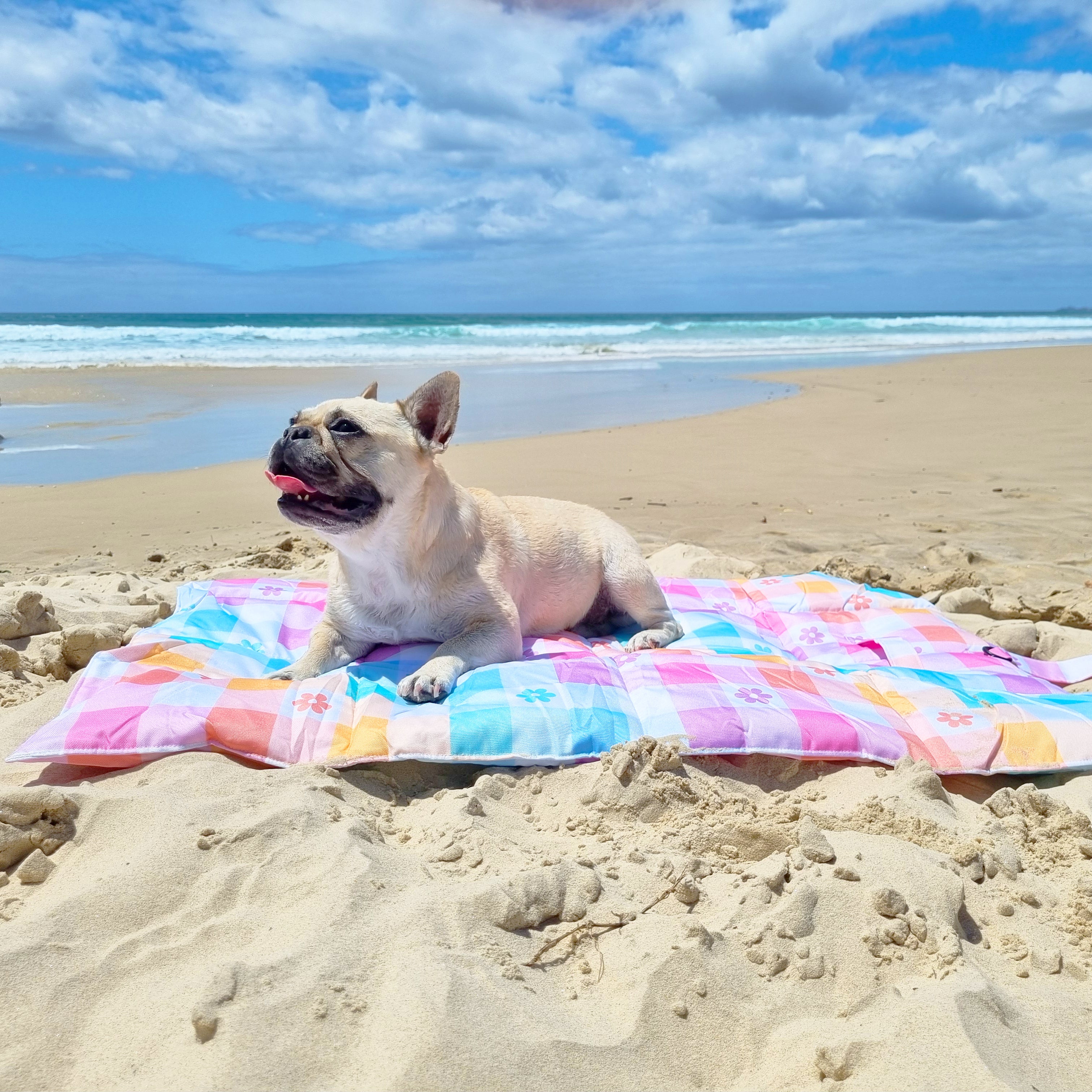 Gingham Wonderland - Adventure Mat