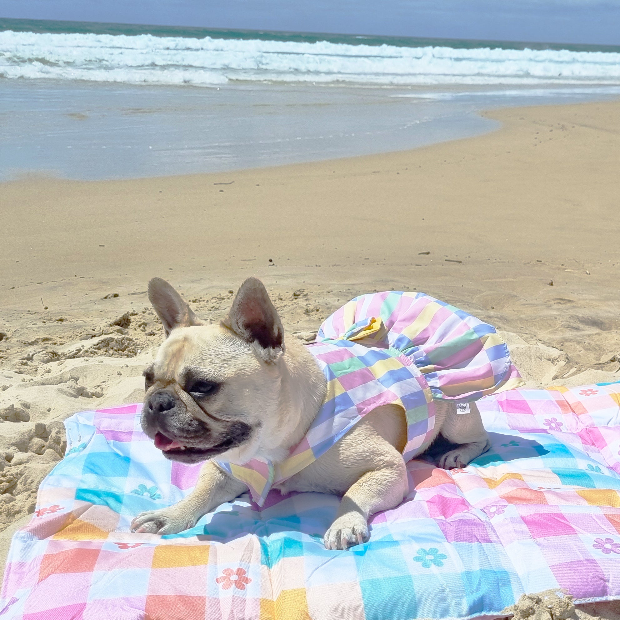 Pastel Patchwork Ruffles Dog Dress with bow