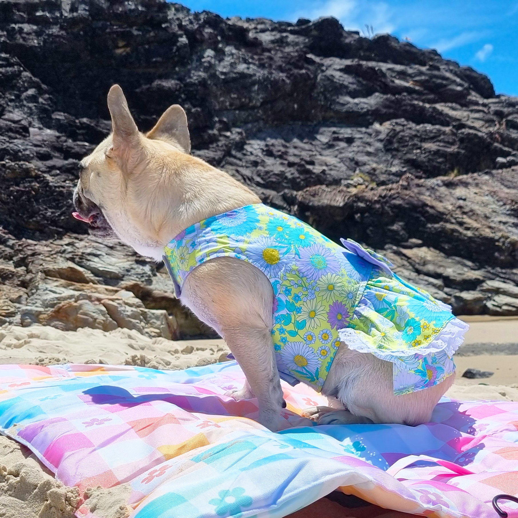 Sun-kissed Ruffles Dog Dress with bow