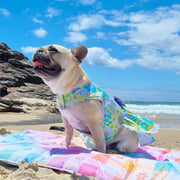 Sun-kissed Ruffles Dog Dress with bow