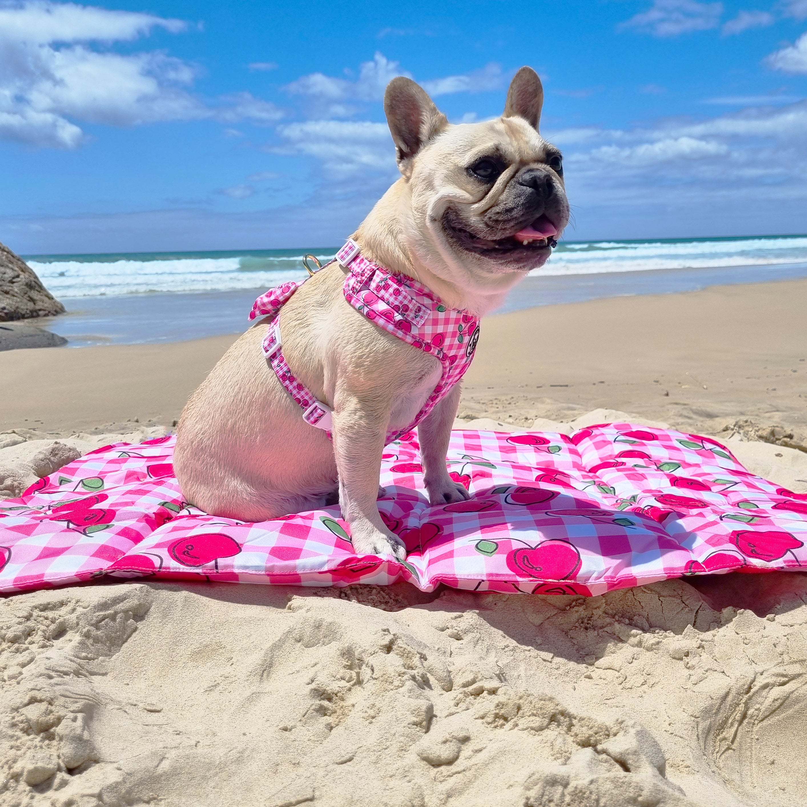 Cherry Delight - Adventure Mat