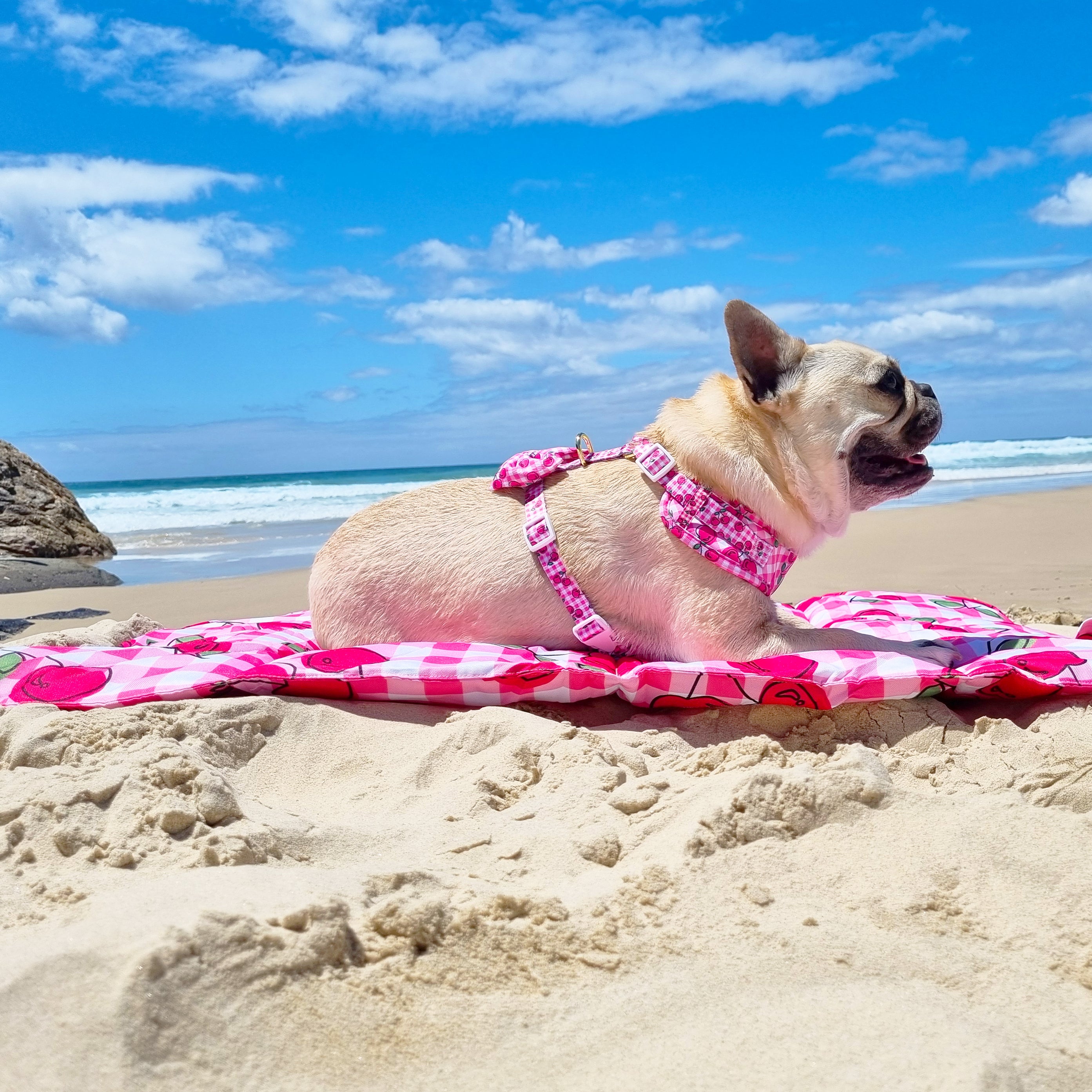 Cherry Delight - Adventure Mat