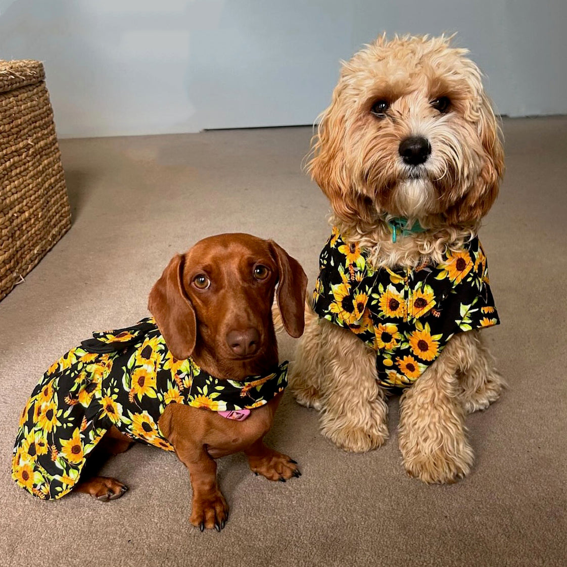 Sunflower Kisses Ruffles Dog Dress with bow -End of line!